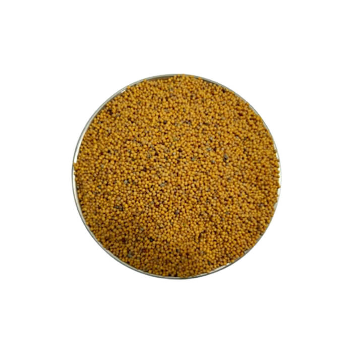 White Mustard Seed (Sada Sorisha) - 200 gm