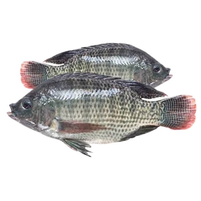 Telapiya Fish - 1 kg